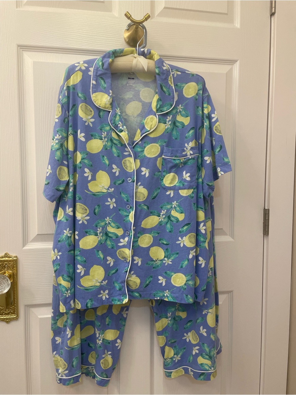 Fruit of the Loom Blue Lemon-Print Short Sleeve Pajama Set